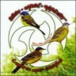 Chant de Haute Bretagne
